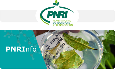 Newsletter PNRI - Novembre 2022