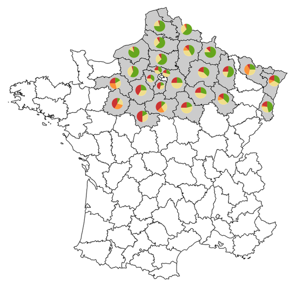 Carte des proportions de présence des groupes dans chaque département