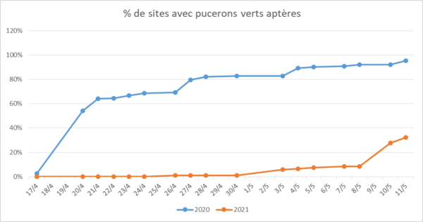 Evolution du % de sites avec pucerons verts aptères