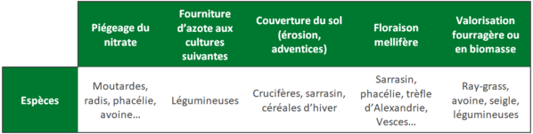 Caractéristiques des espèces