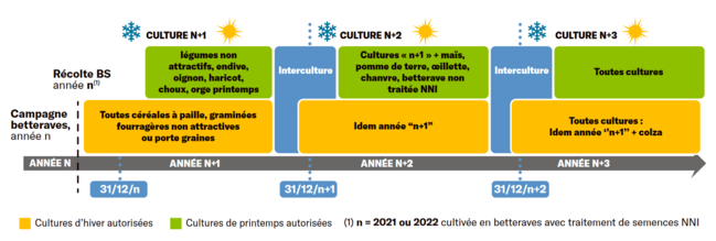 Successions culturales