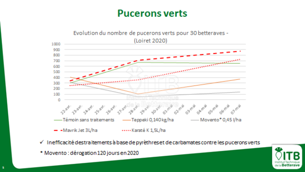 Evolution du nombre de puceron vert en fonction du traitement