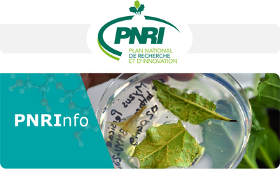 Newsletter PNRI - Mai 2023