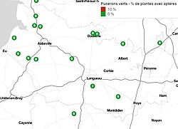 Carte de surveillance pucerons aptères verts