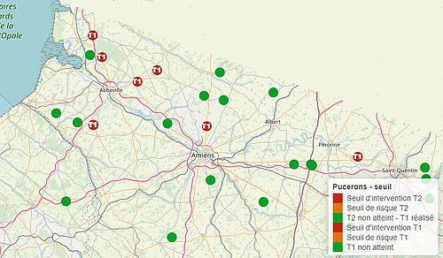 Carte de surveillance des pucerons verts aptères