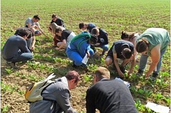 Première visite des BTS ACSE de la parcelle d’essai à Verdilly, EPLEFPA de Crézancy (02)