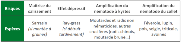 Espèces à risques avant betterave