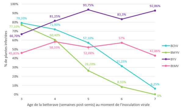 Graphique présentant le taux d'infection des betteraves par virus en fonction du virus et du stade de betterave