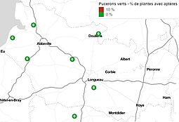 Carte de surveillance pucerons verts aptères