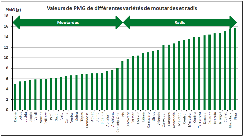 PMG variétés radis et moutardes