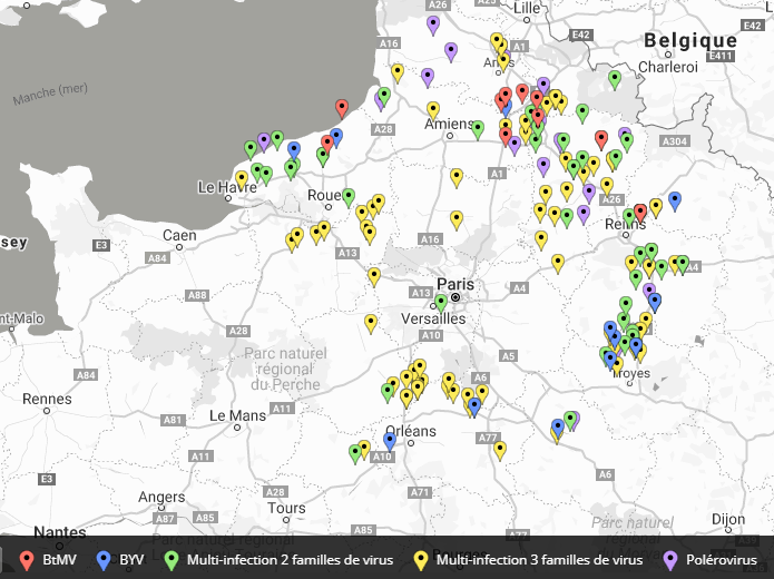 Carte représentant la prévalence des différents virus en 2020