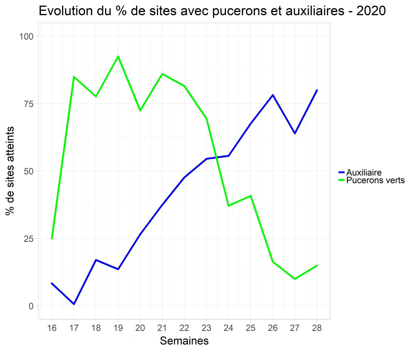 evolution du % de sites atteints par des pucerons et des auxiliaires chaque semaine