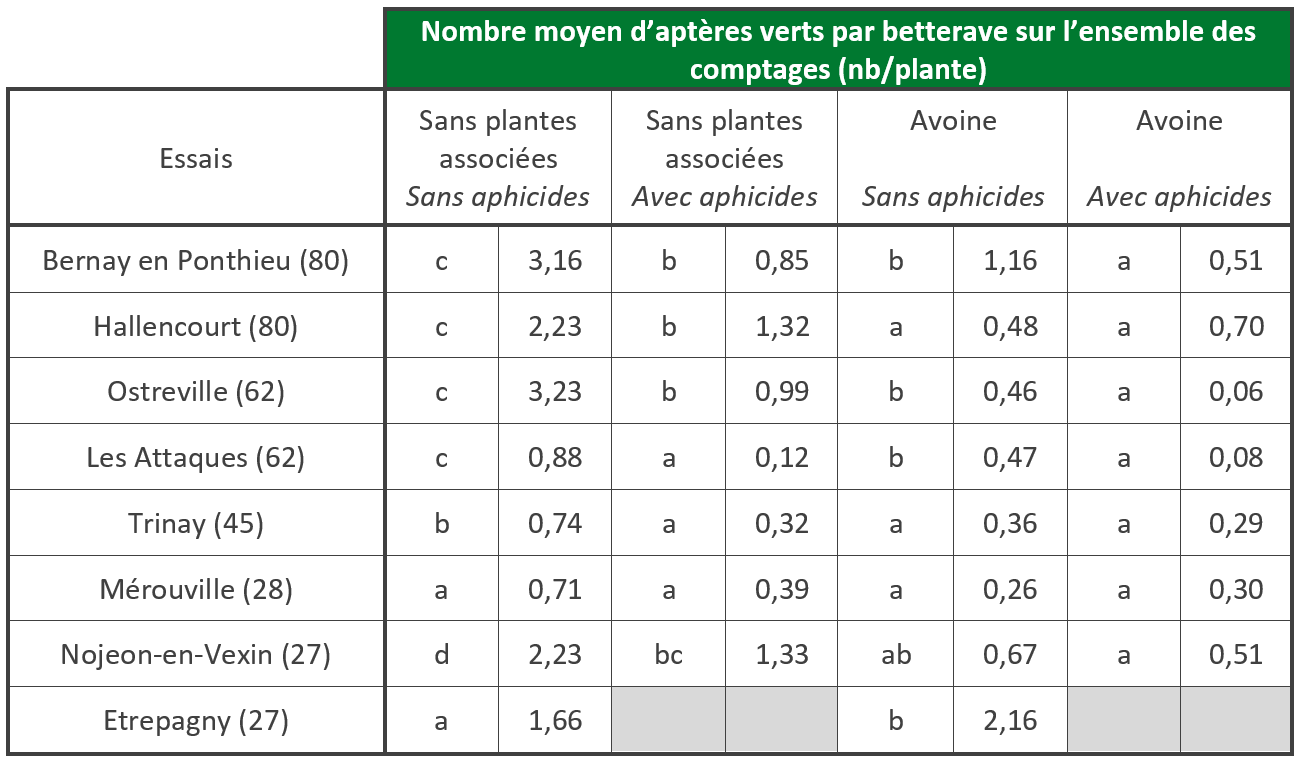 Plante associée : avoine