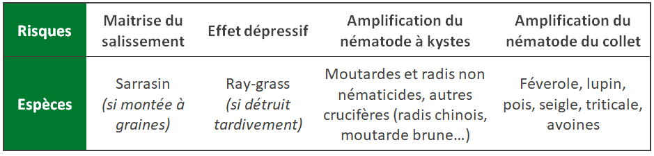 Espèces à risques avant betterave