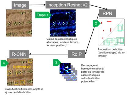 description des étapes de Faster R-CNN