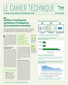 Irribet : l'outil pour optimiser l'irrigation de la betterave sucrière