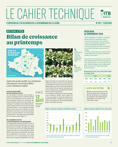 Bilan de croissance au printemps