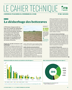 Le désherbage des betteraves