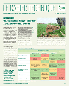 Tassement : diagnostiquer l'état structural du sol