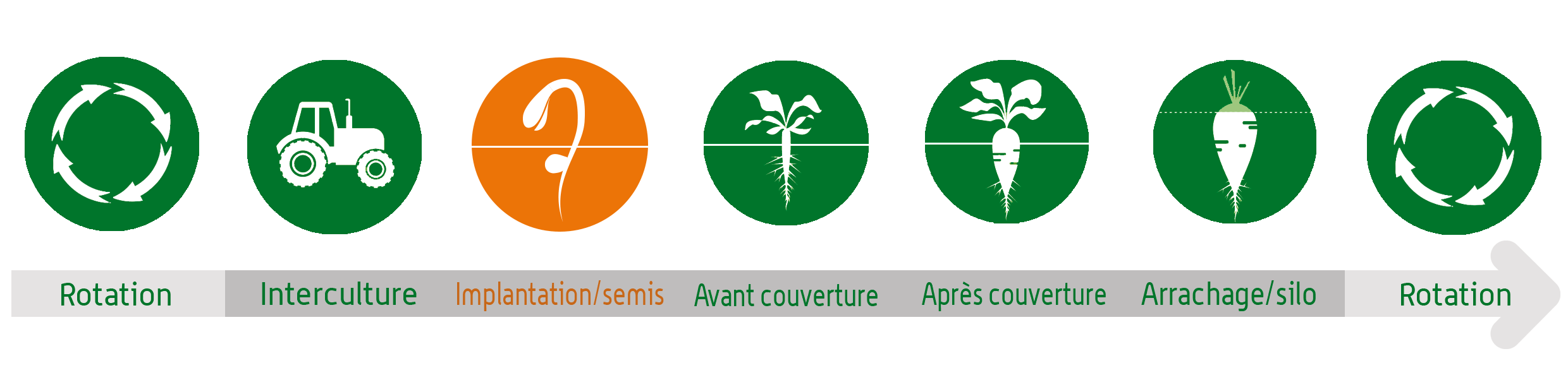 [Translate to English:] Cycles saisons implantations